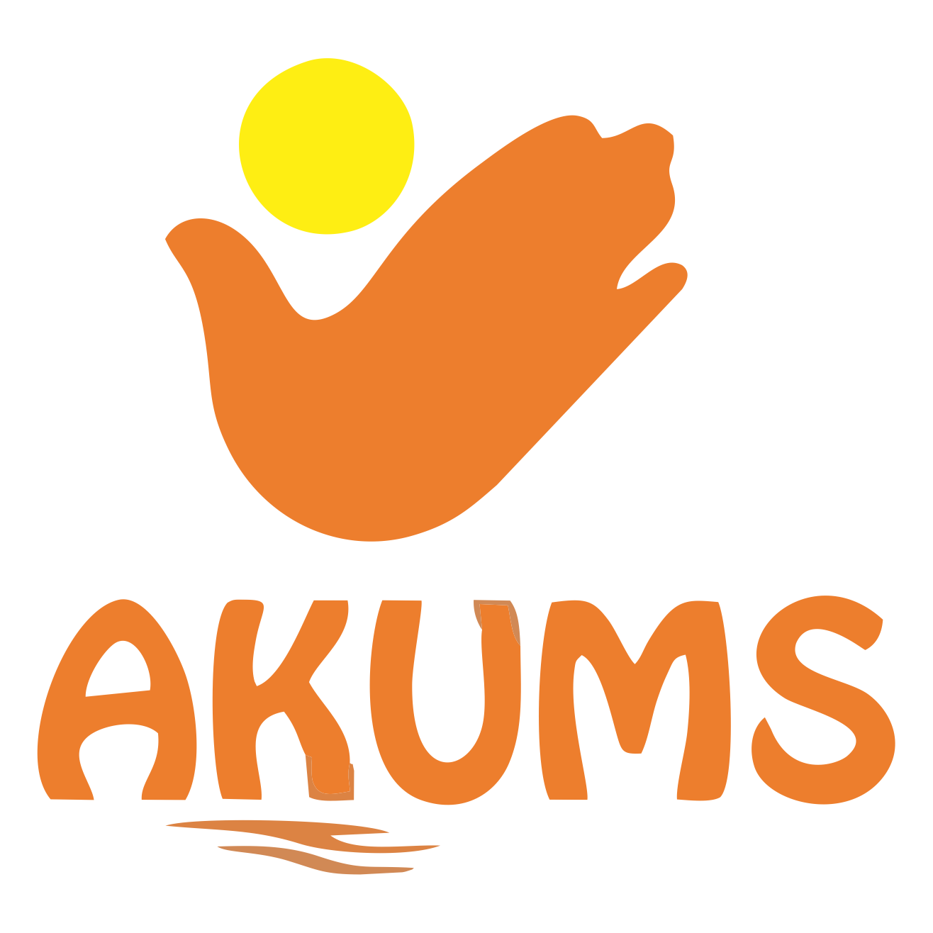 Akums Drugs & Pharmaceucals Ltd