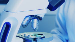 Pharmaceutical, Nutraceutical, and Contract Manufacturing sectors in South India